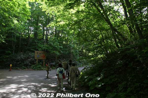 Turn right here to follow the road back to Kyororo. It's an uphill road.
Keywords: aomori fukaura juniko lakes