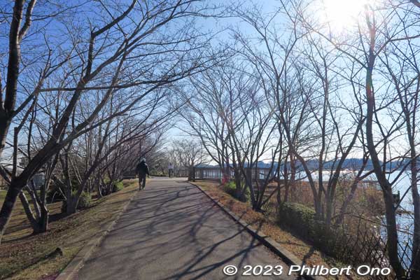 Lake Tega lakeside path is lined with cherry trees. Should be nice in spring, but I visited in winter.
Keywords: Chiba Abiko Lake Teganuma