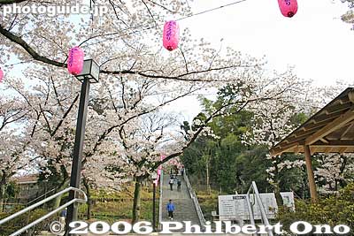 Entrance to Inohana Park
Keywords: chiba castle inohana park sakura cherry blossoms