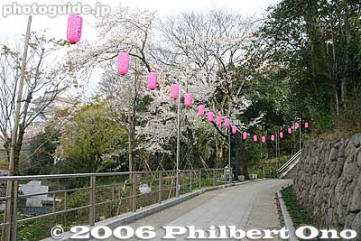 Path to Chiba Castle (visible on left)
Keywords: chiba castle inohana park sakura cherry blossoms