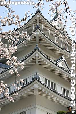 Corners
Keywords: chiba castle inohana park sakura cherry blossoms japanharu