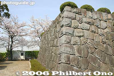 Stone wall at entrance
Keywords: chiba castle inohana park sakura cherry blossoms
