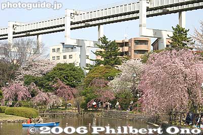 Monorail track
Keywords: chiba koen park sakura weeping cherry blossom pond