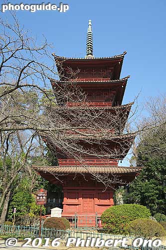 Nakayama Hokekyoji temple's Five-Story Pagoda, an Important Cultural Property 五重塔
Keywords: chiba ichikawa nakayama hokekyoji nichiren buddhist temple