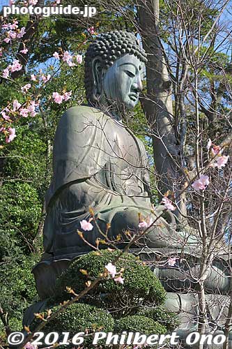 Sitting Daibutsu Buddha near the pagoda.
Keywords: chiba ichikawa nakayama hokekyoji nichiren buddhist temple