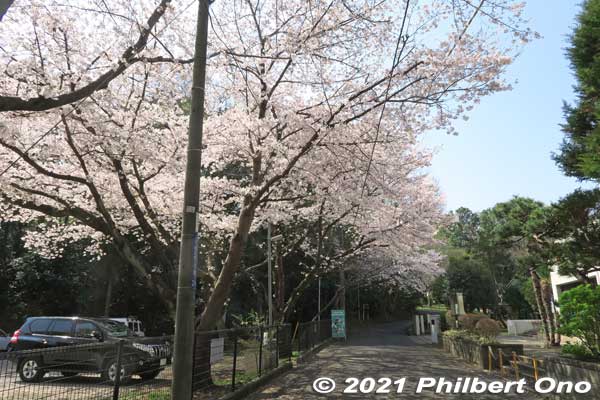 After the small green belt, walk on the street to the Shell Mound. 
Keywords: chiba ichikawa park hiking trail mizu midori kairo