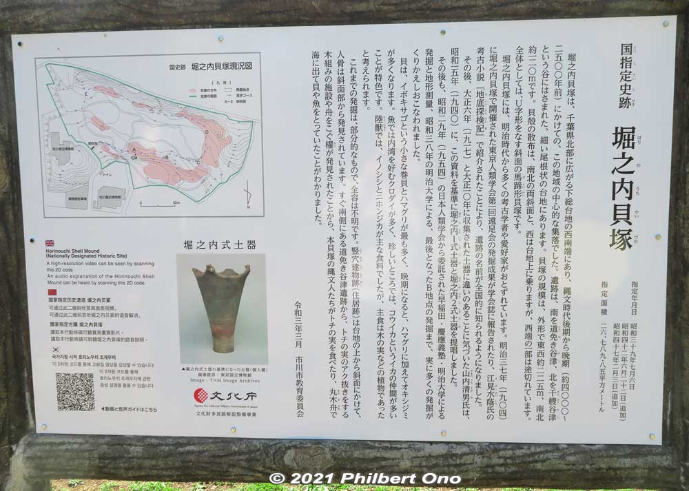 It's hard to discern, but Horinouchi Kaizuka Shell Mound is as long as 225 meters and 100 meters wide. 
Pink portion in the diagram on the upper left shows where the shells, animal bones (mostly boar and deer) and other food waste were tossed on the hillsides during 4,000 to 2,500 years ago (Jomon Period). They form a horseshoe shape on the hill. 
The mound was a central feature of the Jomon Period cluster of homes in this area. Since the late 19th century (Meiji Period), many digs and research on this shell mound have been conducted by archaeologists. However, there are still unknown things about mound.
Keywords: chiba ichikawa park hiking trail mizu midori kairo