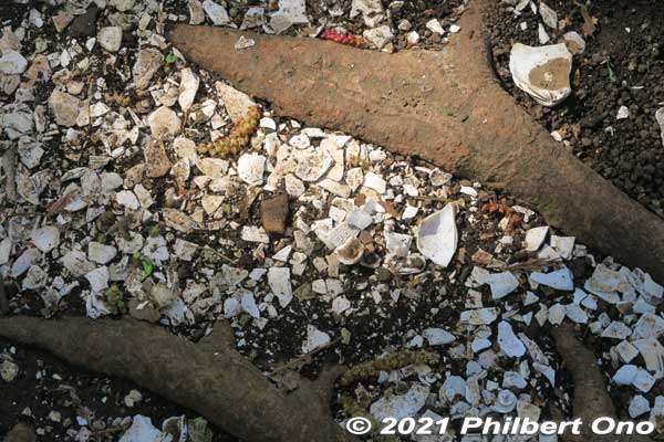 While walking through Horinouchi Kaizuka Shell Mound, many pieces of shell or pottery on the ground. Still here, after thousands of years!
Read more about this shell mound here: [url=https://ichikawashi.jp/horinouchi/index_en.html]https://ichikawashi.jp/horinouchi/index_en.html[/url]
Keywords: chiba ichikawa park hiking trail mizu midori kairo