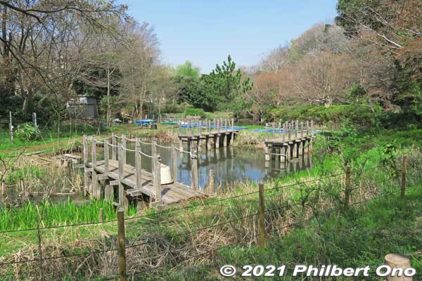 Junsai-ike Ryokuchi green belt park じゅん菜池緑地
Keywords: chiba ichikawa park hiking trail mizu midori kairo