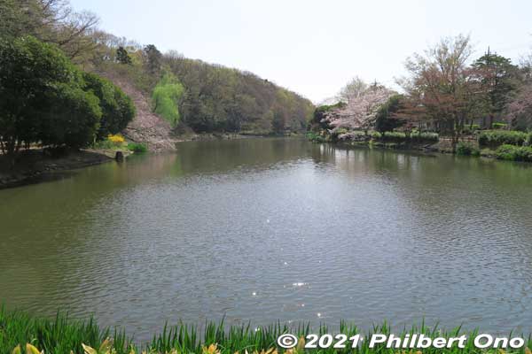 Junsai-ike Pond じゅん菜池
Keywords: chiba ichikawa park hiking trail mizu midori kairo