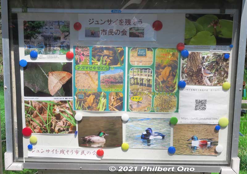 Photos of the park's flora and fauna by a local environmental group.
Keywords: chiba ichikawa park hiking trail mizu midori kairo