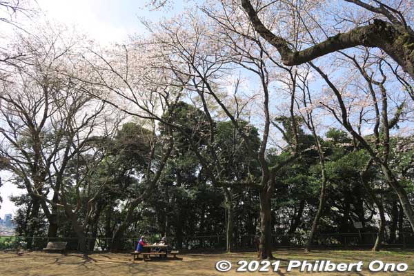 Next is Satomi Park, another large park with different areas. This part is undeveloped and quiet. 里見公園
Keywords: chiba ichikawa park hiking trail mizu midori kairo