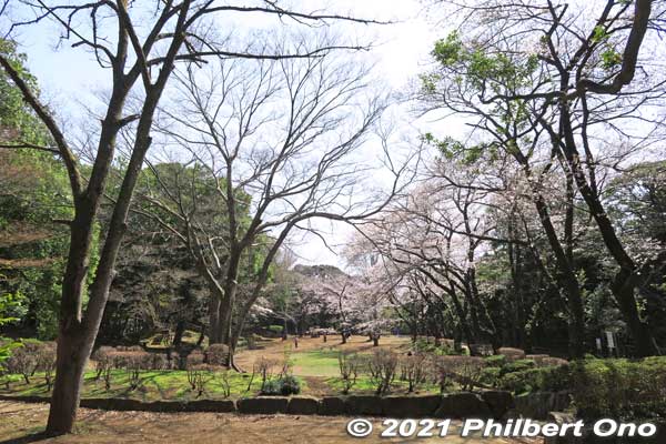 Satomi Park is the site of Konodai Castle occupied by the Satomi Clan who ruled the Boso domain in present-day Chiba during the 16th century. Almost nothing remains though. 国府台城
Keywords: chiba ichikawa park hiking trail mizu midori kairo