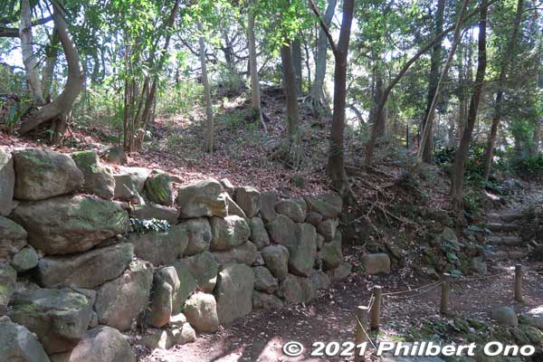 Keywords: chiba ichikawa park hiking trail mizu midori kairo