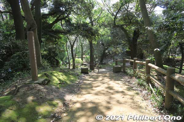 At the top of this small hill is  Ichikawa city's highest point (elevation).
Keywords: chiba ichikawa park hiking trail mizu midori kairo