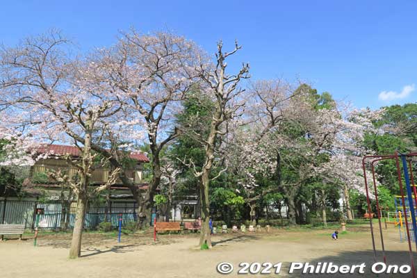 Satomi Park playground.
Keywords: chiba ichikawa park hiking trail mizu midori kairo