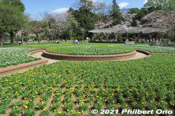 During World War II, Satomi Park was an Imperial Army base camp. It finally became a public park in 1959. Flower beds now cover the site of Konodai Castle.
Keywords: chiba ichikawa park hiking trail mizu midori kairo
