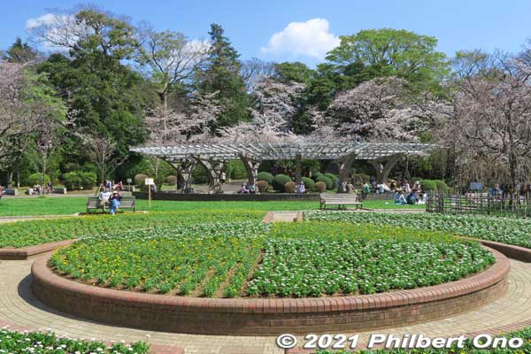 Satomi Park is also noted for roses in early summer and fall. The rose is Ichikawa's official flower. 
Keywords: chiba ichikawa park hiking trail mizu midori kairo