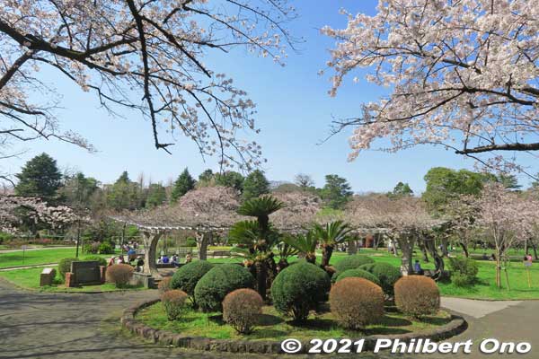 Flowery site of Konodai Castle in Ichikawa, Chiba. No castle buildings. 国府台城跡
Keywords: chiba ichikawa park hiking trail mizu midori kairo japancastle