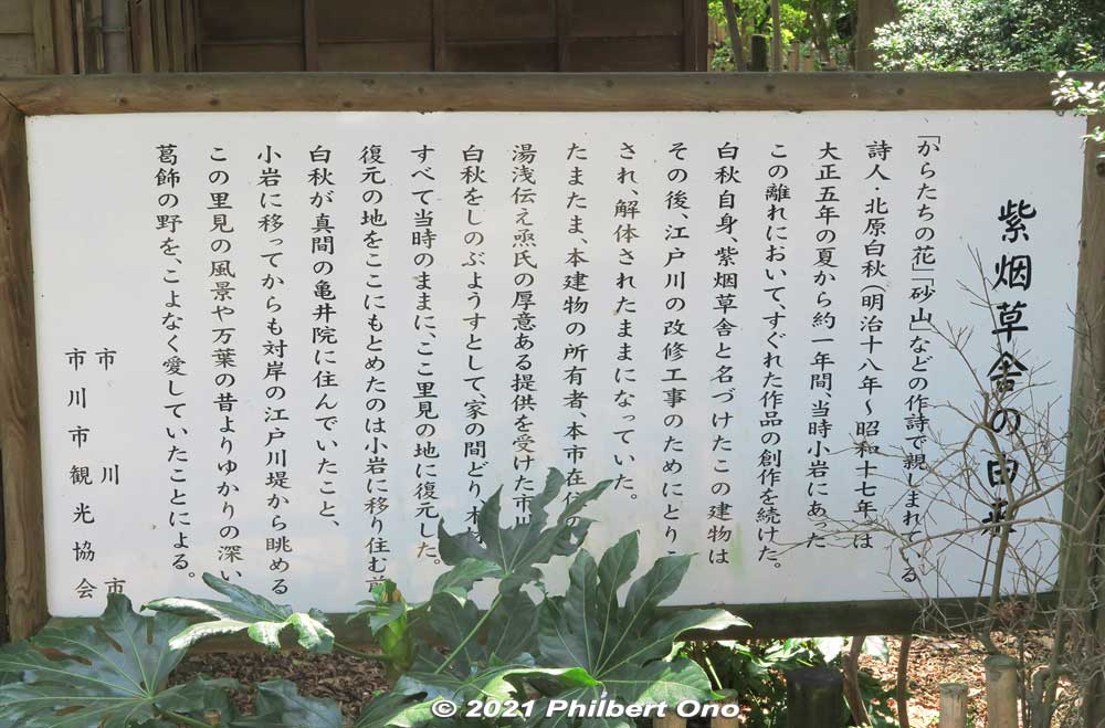 About Shien-soja. It was originally located in Koiwa (Edogawa Ward, Tokyo) and moved here. (紫烟草舎).
Keywords: chiba ichikawa park hiking trail mizu midori kairo