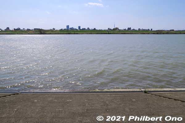 From Satomi Park, the remaining walk went along Edogawa River to the train station. 
Keywords: chiba ichikawa edogawa river