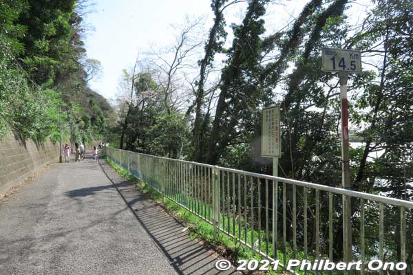 This is part of the riverside walking path. On the left is a forest on a hill. The forest is also being protected.
Keywords: chiba ichikawa edogawa river