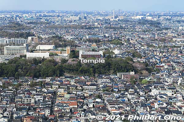 "Temple" marks the location of Guhoji Temple, famous for a 400-year-old weeping cherry blossom tree. [url=https://photoguide.jp/pix/thumbnails.php?album=1151]See this album.[/url]
Keywords: chiba ichikawa station Towers West