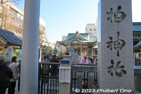 Kashiwa Shrine, near Kashiwa Station east exit. Worships several different gods. 柏神
Keywords: Chiba Kashiwa Station