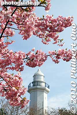Katsuura Lighthouse and cherry blossoms
Keywords: chiba katsuura 