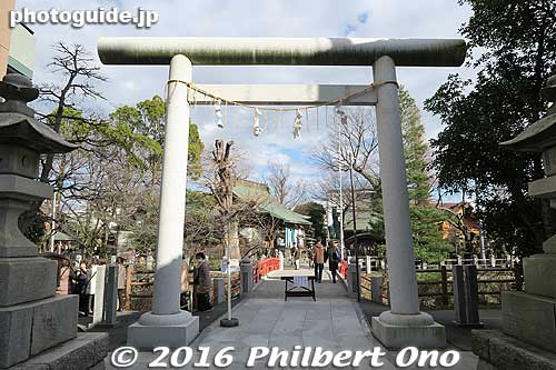 Matsudo Shrine
Keywords: chiba matsudo shrine