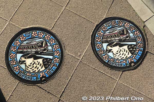 Twin color manholes in Nagareyama, Chiba. Train and goshawk design.
Keywords: Chiba Nagareyama Otakanomori Station manhole