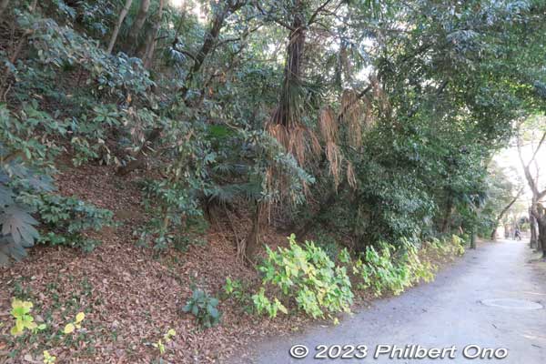 Walk along the right side of the castle park hill until you see steps going up.
Keywords: Chiba Narashino Saginuma Castle park tumuli burial mound