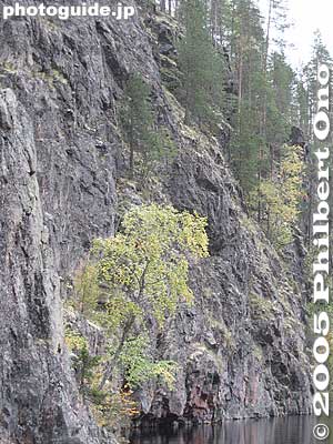 Tree growing on solid rock
Keywords: Finland Kuusamo Julma Ölkky canyon lake