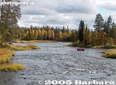 Almost autumn colors
Keywords: Finland river rafting Kitkajoki