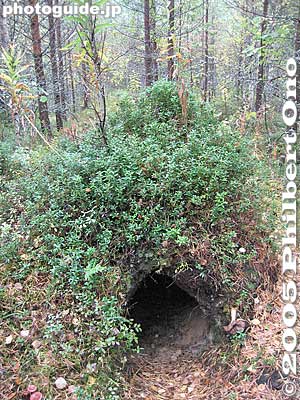 Bear cave　クマのほら穴
Small bear cave for hibernation. This was a short walk from the road.
Keywords: Finland Kuhmo bear hide