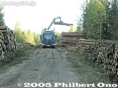 Log loader　道路の障害
In Finland, sometimes you will come across a log loader like this one blocking the road. We waited for about 20 min. until he finished his job and left the scene.

車の中に２０分ほど待ってやっと用を済ましてどけてくれた。
Keywords: Finland Kuhmo bear hide