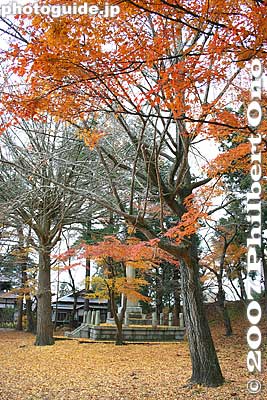 Foilage on Kitade-maru 北出丸
Keywords: fukushima aizuwakamatsu aizu-wakamatsu tsurugajo castle fall leaves autumn foilage