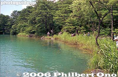 Nature trail to other Goshikinuma ponds.
Keywords: fukushima kitashiobara-mura village goshikinuma bandai-asahi national park pond