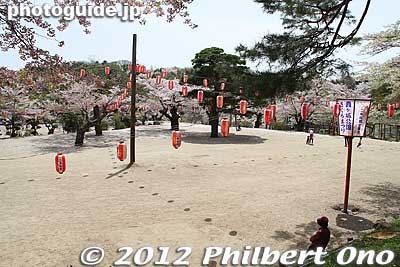 Sannomaru
Keywords: fukushima nihonmatsu kasumigajo castle pine trees matsu cherry blossoms