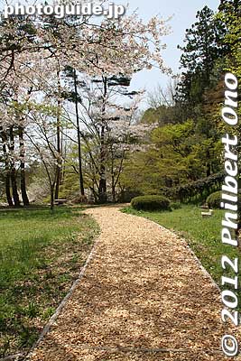 Part of the path is covered with wood chips.
Keywords: fukushima nihonmatsu kasumigajo castle cherry blossoms