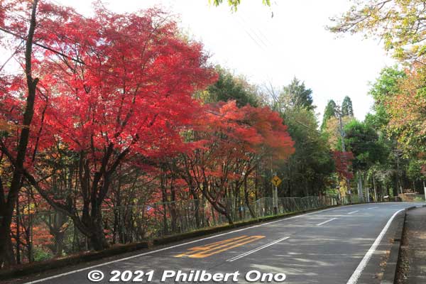 Although I was rewarded with these red maples, one-hour is kind of a long walk. Slight uphill too.
Keywords: gifu ena maple leaves autumn foliage