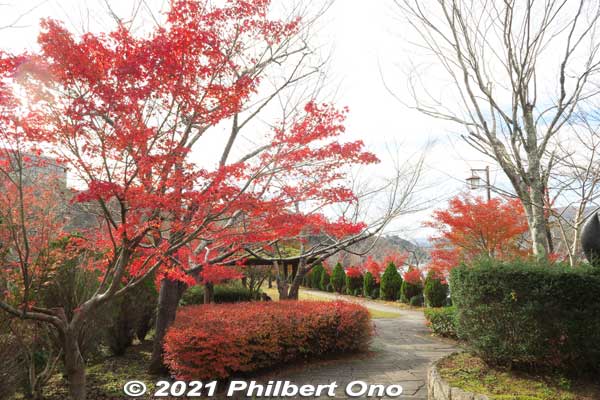 Entering Sazanami Park lined with red maple leaves in mid-November.
Keywords: gifu ena enakyo gorge maple leaves autumn foliage