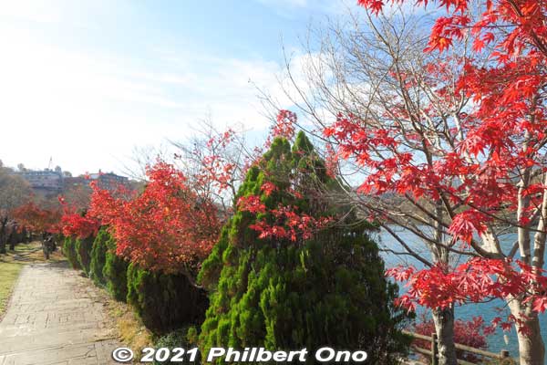 Definitely the right place for red maple leaves. Most were already very red.
Keywords: gifu ena enakyo gorge maple leaves autumn foliage