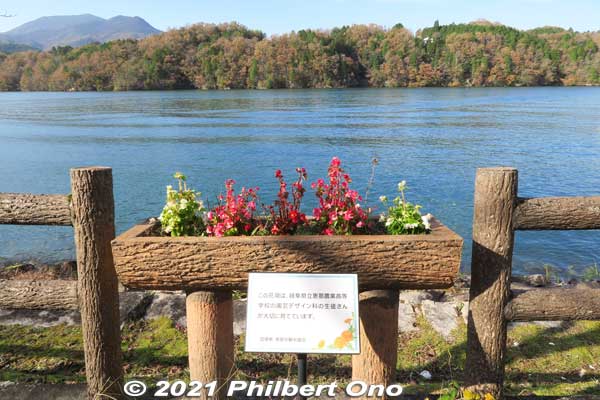 Flowers grown and groomed by Ena Agricultural High School students studying landscape design.
Keywords: gifu ena enakyo gorge maple leaves autumn foliage