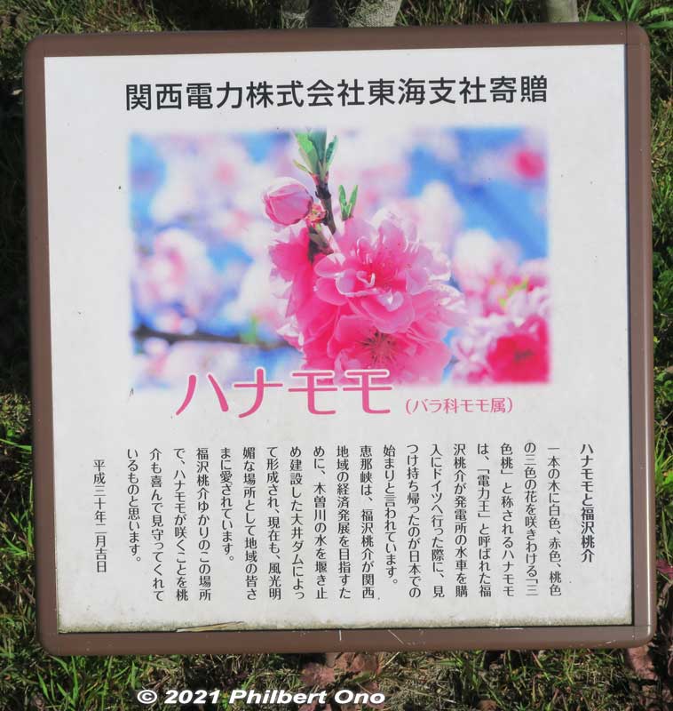 From Germany where he bought water wheels for his hydroelectric power plant, Momosuke brought Hana peach flowers (hanamomo) to Japan.
Keywords: gifu ena enakyo gorge
