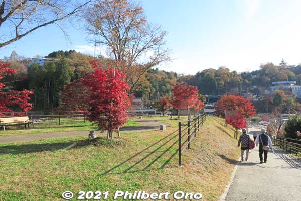 Going back down from Sazanami Park.
Keywords: gifu ena enakyo gorge maple leaves autumn foliage