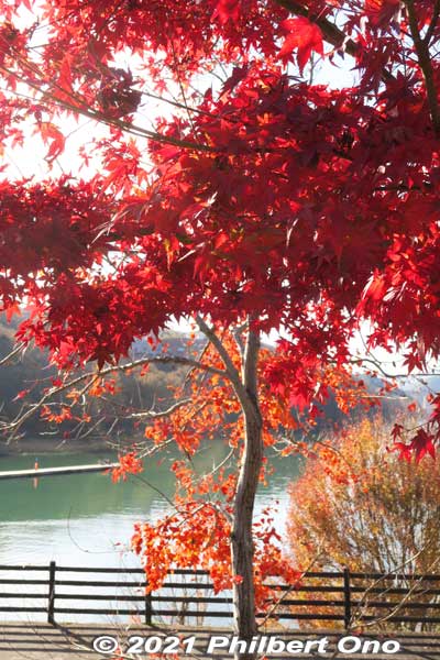 Keywords: gifu ena enakyo gorge maple leaves autumn foliage