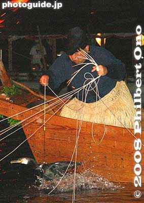After spitting out its catch, the bird goes back into the water. The title of usho 鵜匠 (cormorant fishing master) was created by Oda Nobunaga. Only the Nagara River ukai fishing masters have this title. Other cormorant fishermen are u-zukai 鵜使い.
Keywords: gifu nagaragawa river ukai cormorant fishing fisherman birds boats matsuri5