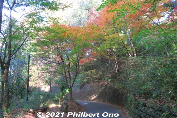 Takes about 15 min. of uphill walking. Cars can go up to the parking lot near the castle. People in wheelchairs should take a taxi. However, the castle grounds still has a lot of stone steps. Castle tower has no elevator.
Keywords: gifu Gujo Hachiman Castle autumn foliage leaves maples
