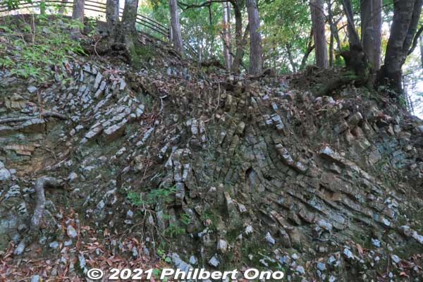 Unusual rock formations.
Keywords: gifu Gujo Hachiman Castle autumn foliage leaves maples